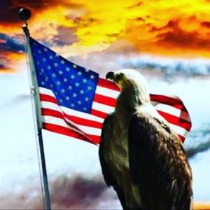 Meet your Posher, Dave